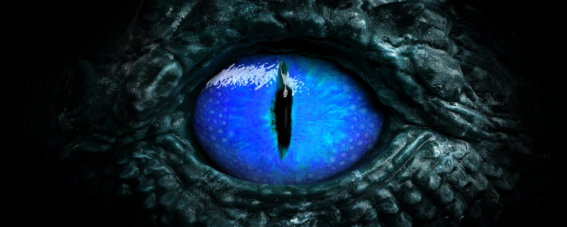 Vue de bas d’un requin blanc sous l’eau