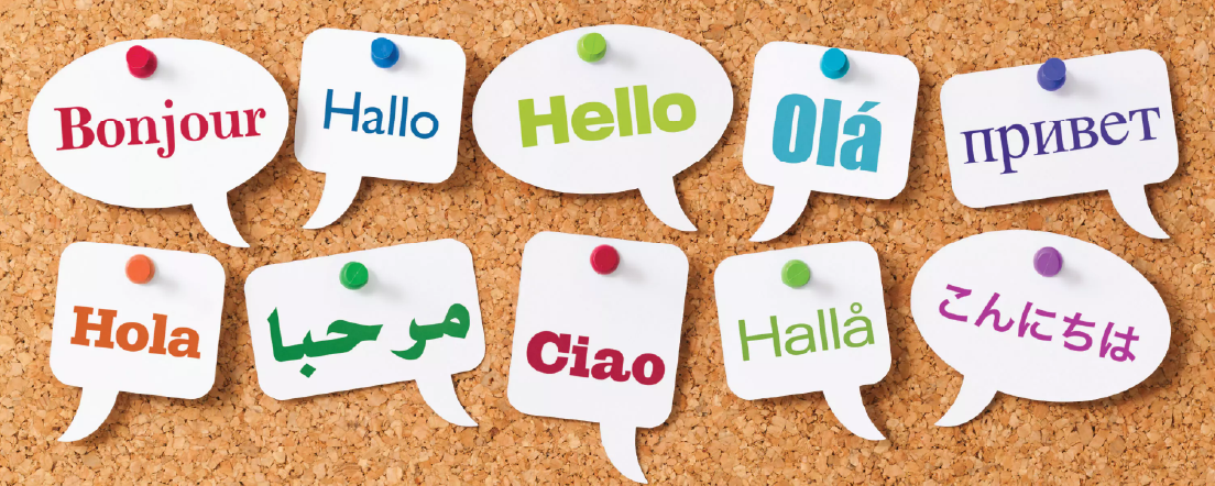 Cork board with greetings in multiple languages including French, English and Spanish (bonjour, hola, ola)